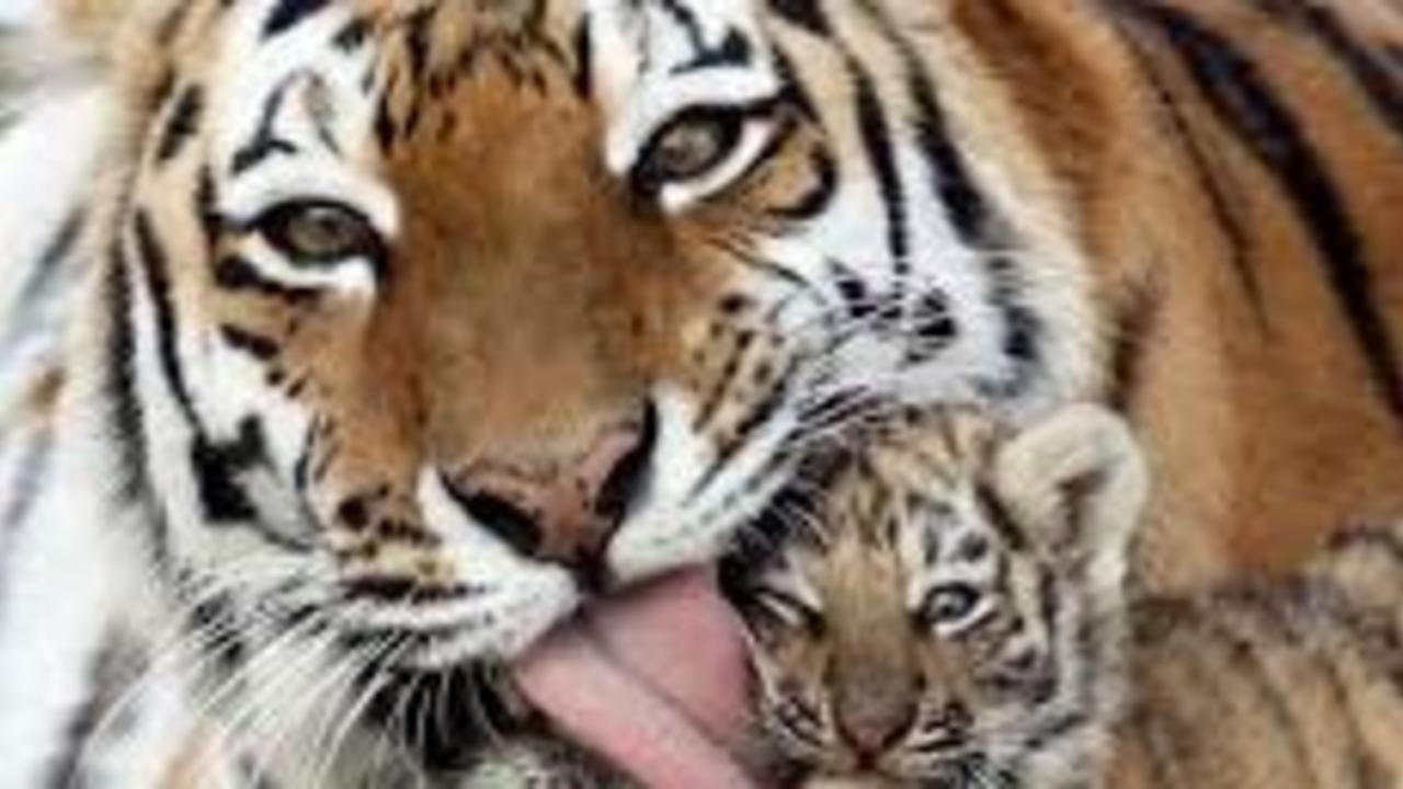 Stop winging it.  Start owning it.